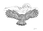Great Gray Owl Pen and Ink Drawing