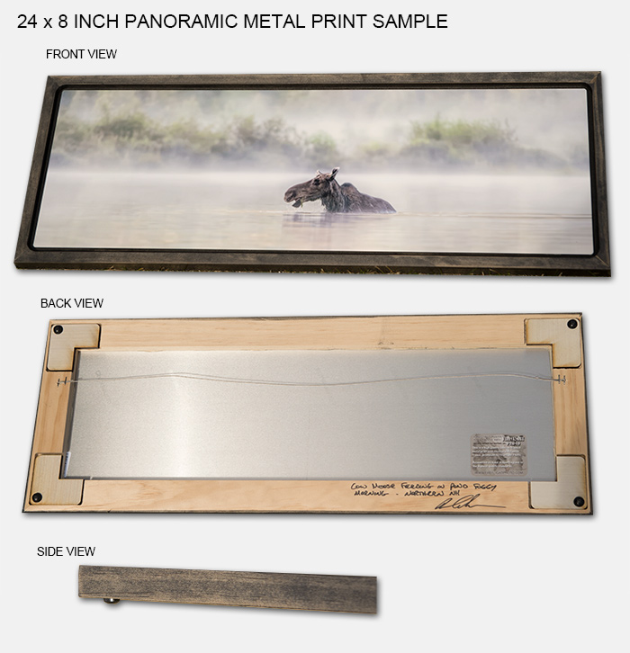 Panoramic Metal Print Sample