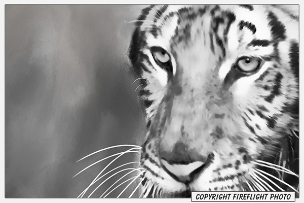 Siberian Tiger Painting Detail