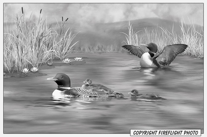 Loon Family in Pond Painting