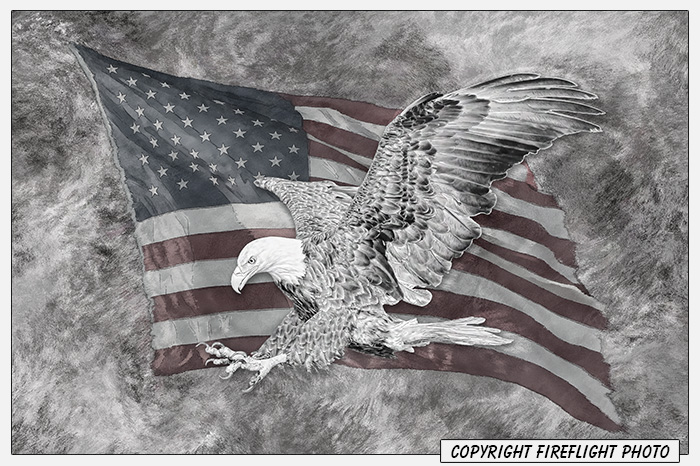 Patriotic Bald Eagle Painting