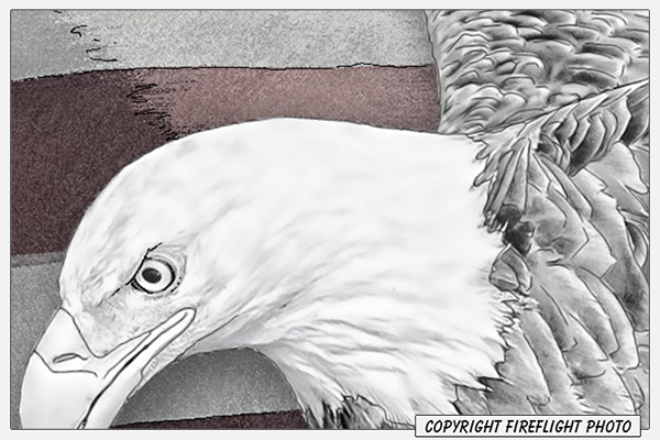 Patriotic Eagle Painting Detail