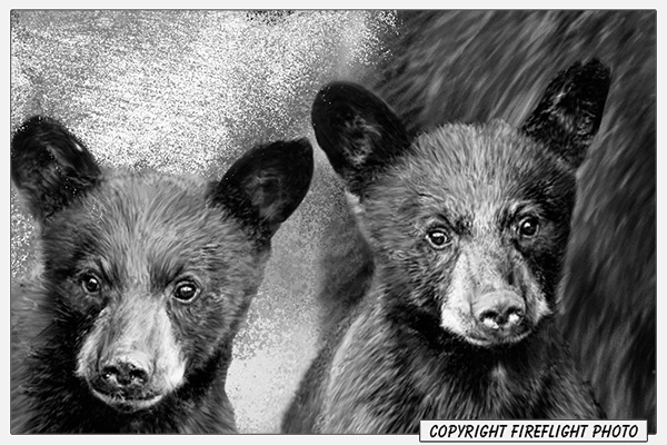 Black Bear and Cubs Painting Detail