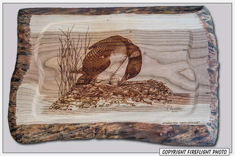 Common Loon Pyrography Full Image