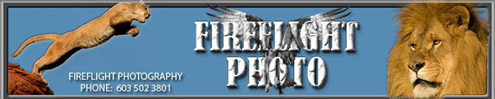 Fireflight Photo