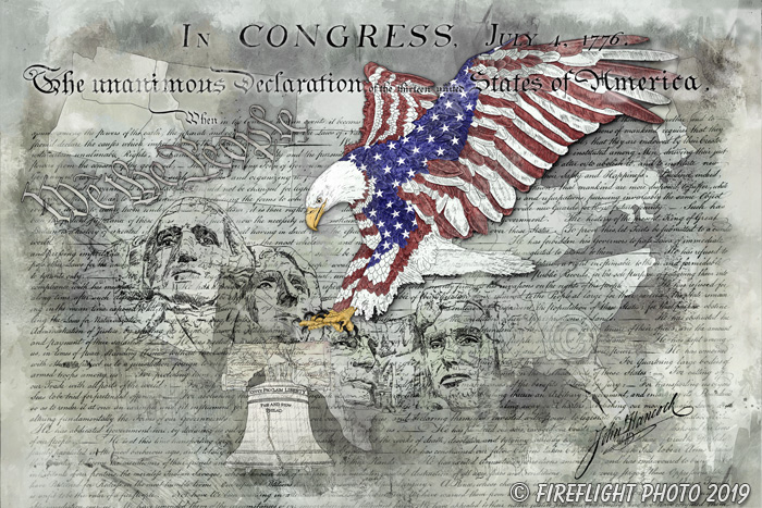 painting;art;artwork;drawing;flag;patriotic eagle;eagle;patriotic;color;grayscale