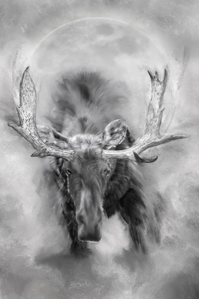 Wildlife;art;artwork;painting;drawing;Moose;Bull Moose;Moon;Painter