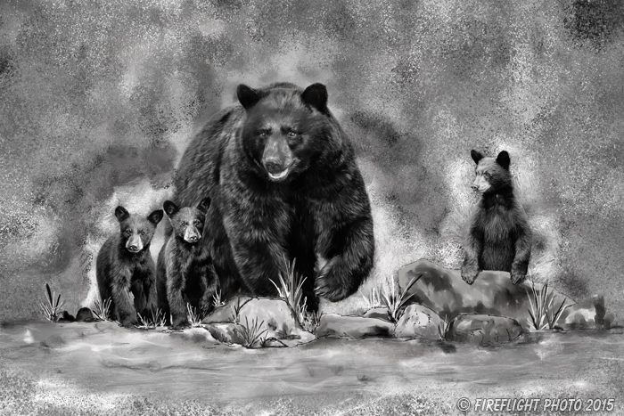 Wildlife;art;artwork;painting;drawing;Corel Painter;Bear;Black Bear;Cubs;grayscale