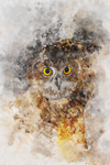 Wildlife;art;artwork;painting;drawing;Corel-Painter;owl;eagle-owl;eurasian;color;colour