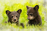 Wildlife;art;artwork;painting;drawing;Corel-Painter;bear;black-bear;cubs;grass;color;colour