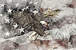 wildlife;Eagle;Bald-Eagle;Art;Artwork-Drawing;Ink-Drawing;pen-and-ink;painting