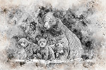 Wildlife;art;artwork;Pen-and-ink;ink;drawing;Bear;Black-Bear;cub;cubs;painting;NH