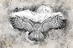 Wildlife;-art;-artwork;-Pen-and-ink;-ink;-drawing;-Painting;-Owl;-Great-Gray;-Great-Grey