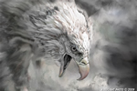 Wildlife;art;artwork;painting;bald-eagle;raptor;drawing