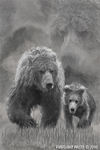 Wildlife;art;artwork;painting;drawing;Katmai-Bear;Grizzly-Bear;Coastal-Brown-Bear;Corel-Painter