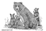 wildlife;Bear;Grizzly-Bear;Cubs;Pen-and-Ink;Ink-Drawing;Art;Artwork;Drawing