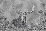 Wildlife;art;artwork;painting;drawing;Corel-Painter;Mooses;Bull-Moose;leaves;Alces-alces