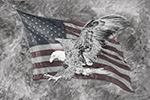 Wildlife;art;artwork;painting;drawing;Corel-Painter;Bald-Eagle;Eagle;Flag;grayscale