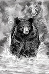 Wildlife;art;artwork;painting;drawing;Corel-Painter;Bear;Black-Bear;grayscale