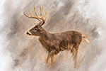 Wildlife;art;artwork;painting;drawing;Corel-Painter;Deer;Buck;Whitetail;color;colour