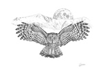 Wildlife;art;artwork;drawing;Pen-and-Ink;Ink;Great-Gray;Owl;Raptor;Kinsman;Moon
