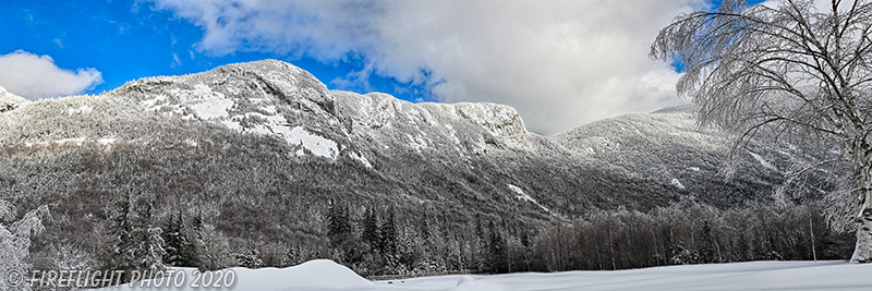 Landscape;Panoramic;Pan;New Hampshire;NH;Snow;Frost;ice;birch tree;Franconia;Notch;NH;Z7