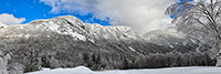 Landscape;Panoramic;Pan;New-Hampshire;NH;Snow;Frost;ice;birch-tree;Franconia;Notch;NH;Z7