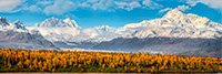 Landscape;Panoramic;Pan;Alaska;AK;Winter;Snow;Denali;Mountain-Range;Foliage;Fall;Fall-Colors