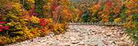 Landscape;Panoramic;Pan;New-Hampshire;NH;Fall;Foliage;creek;bridge;Kancamagus