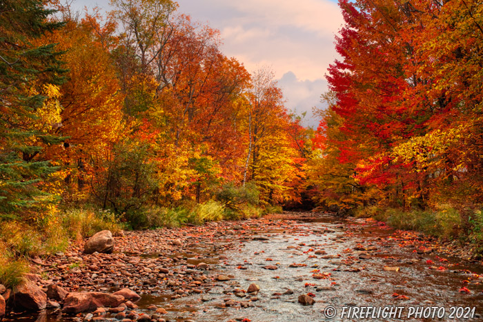 landscape;foliage;creek;trees;red;yellow;fall;leaves;rocks;Jefferson;NH;Z7