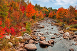 landscape;foliage;creek;trees;red;yellow;fall;leaves;rocks;Bethlehem;NH;Z7