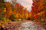 landscape;foliage;creek;trees;red;yellow;fall;leaves;rocks;Jefferson;NH;Z7