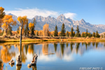 landscape;scenic;mountain;Grand-Tetons;reflections;Wyoming;WY;D3X
