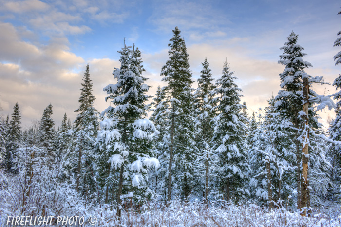 Twin Mountains;Trees;Snow;Sunset;New Hampshire;Winter;Photo to art;art;landscape