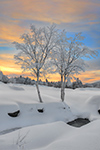 Mountain;Mount-Washington;Mt-Washington;New-Hampshire;Winter;Snow;Photo-to-art;Sunset;landscape;Trees;D3X