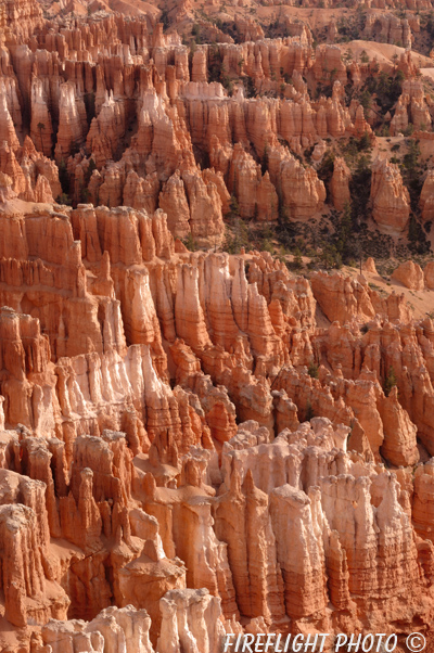 landscape;scenic;Bryce NP;Bryce;Ponderosa Point;rock;UT;UTAH