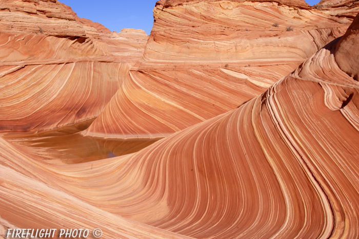 landscape;scenic;sunrise;The Wave;Paria Canyon;Coyote Buttes;Arizona;UT;UTAH;rock