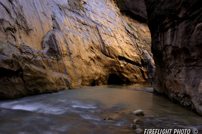 landscape;scenic;gold;zion;zion narrows;narrows;rock;UT;UTAH