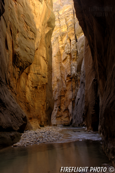 landscape;scenic;wall street;gold;zion;zion narrows;narrows;rock;UT;UTAH