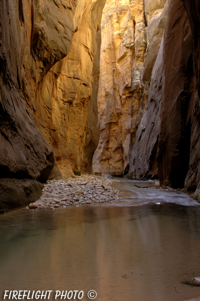 landscape;scenic;wall street;gold;zion;zion narrows;narrows;rock;UT;UTAH