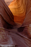 landscape;scenic;sunrise;The-Wave;Paria-Canyon;Coyote-Buttes;Arizona;UT;UTAH;rock