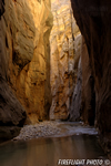 landscape;scenic;wall-street;gold;zion;zion-narrows;narrows;rock;UT;UTAH