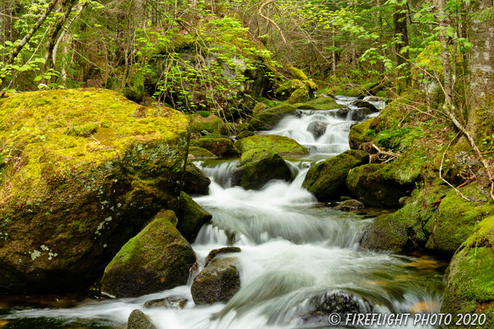 landscape;brook;Cascade Waterfall;Cascade;water;Moss;Mossy;rocks;NH;Z7