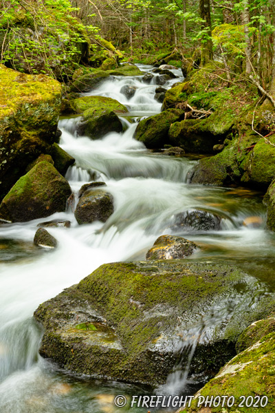 landscape;brook;Cascade Waterfall;Cascade;water;Moss;Mossy;rocks;NH;Z7