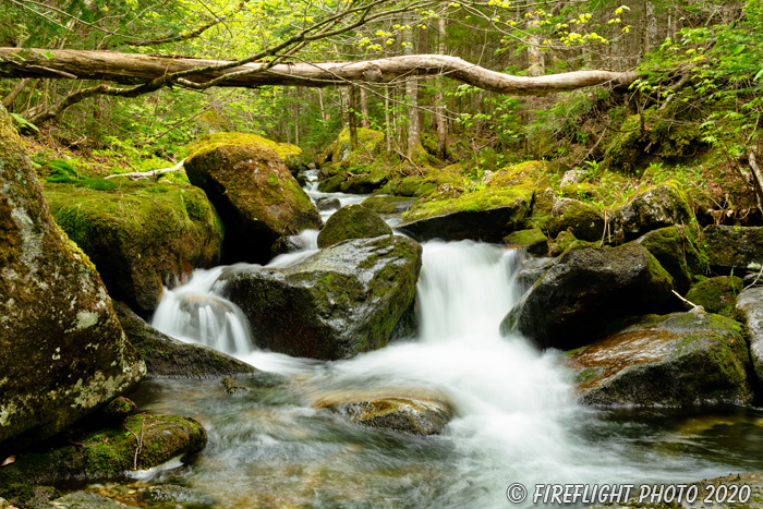 landscape;brook;Cascade Waterfall;Cascade;water;Moss;Mossy;rocks;NH;Z7