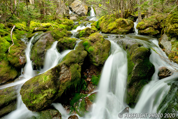 landscape;brook;Cascade Waterfall;Cascade;water;Moss;Mossy;rocks;NH;Z7