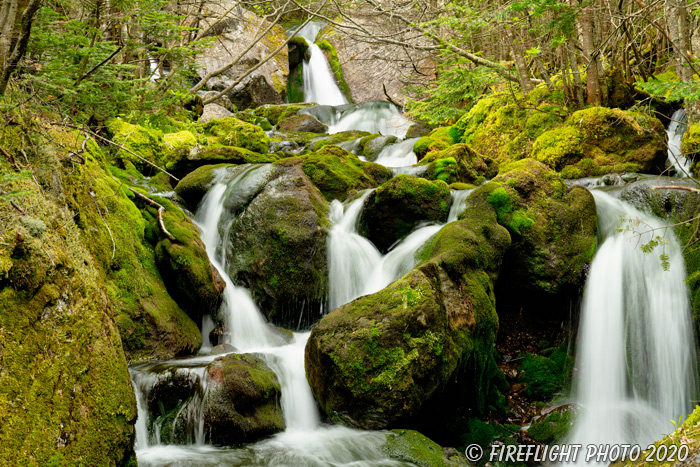 landscape;brook;Cascade Waterfall;Cascade;water;Moss;Mossy;rocks;NH;Z7