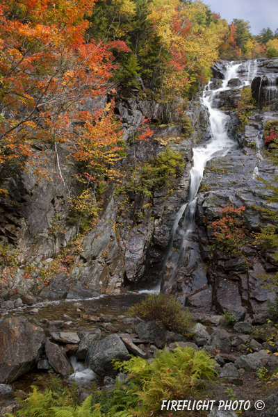 landscape;waterfall;Silver Cascade Waterfall;Cascade;water;foliage;Crawford Notch;NH;D3X
