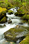 landscape;brook;Cascade-Waterfall;Cascade;water;Moss;Mossy;rocks;NH;Z7