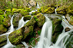 landscape;brook;Cascade-Waterfall;Cascade;water;Moss;Mossy;rocks;NH;Z7